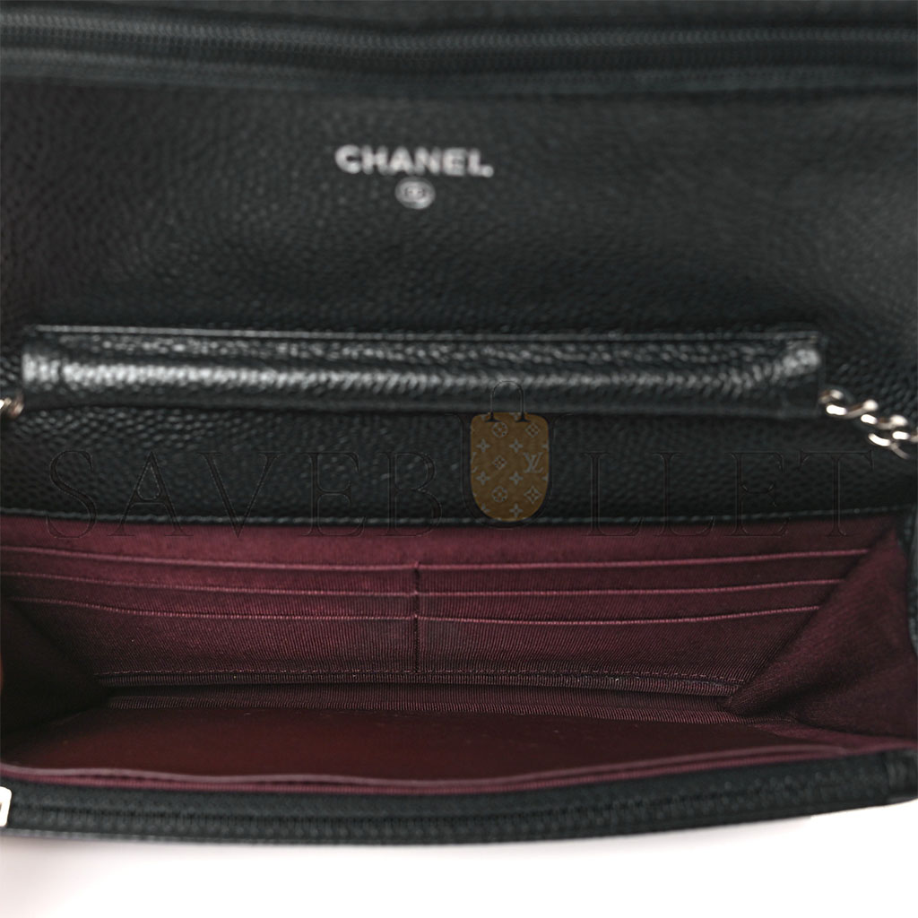 CHANEL CLASSIC WALLET ON CHAIN SILVER HARDWARE AP0250 Y01480 C3906 (19.2*12.3*3.5cm) CHANEL CLASSIC WALLET ON CHAIN SILVER HARDWARE AP0250 Y01480 C3906 (19.2*12.3*3.5cm)